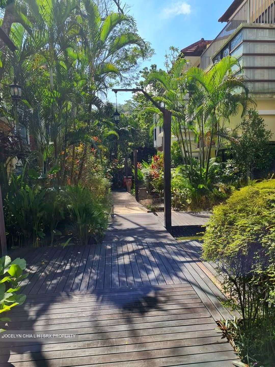 Lornie Road (D11), Terrace #578348081